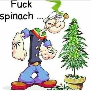 Meet your Posher, Leon